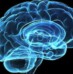 Falacia sobre la dominancia de los hemisferios cerebrales