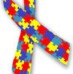 Características del Trastorno del Espectro Autista